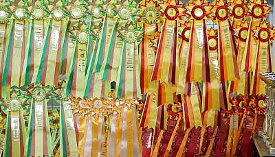 �������� ����� '���-�����-��������' 20-21 �������� 2014 169A0804 copy.jpg